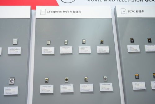 至誉科技2024 引领高速存储新纪元，重塑数码存储卡未来